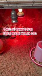 hướng dẫn sử dụng da ga sa bong