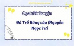hướng dẫn sử dụng đá trổ bông đọc hiểu