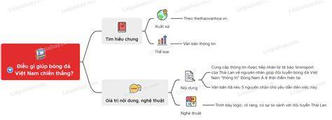 hướng dẫn sử dụng điều gì giúp bóng đá việt nam chiến thắng