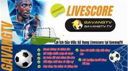 hướng dẫn sử dụng gavangtv truc tiep bong da