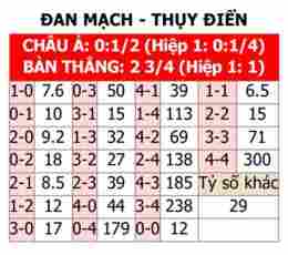 hướng dẫn sử dụng giải bóng đá đan mạch