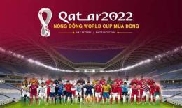 hướng dẫn sử dụng giải bóng đá qatar stars