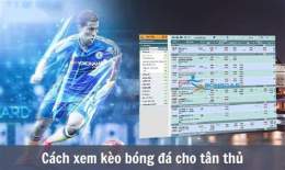 hướng dẫn sử dụng kèo nhà cái bóng đá anh