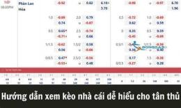 hướng dẫn sử dụng kèo nhà cái bóng đá châu âu