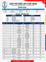 hướng dẫn sử dụng lich bong da hyundai cup