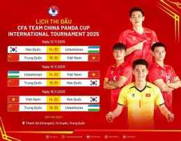 hướng dẫn sử dụng lịch bóng đá tiger cup