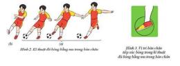 hướng dẫn sử dụng lịch đá bóng của mu