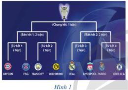 hướng dẫn sử dụng lịch thi đấu bóng đá champions league