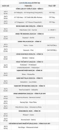 hướng dẫn sử dụng lịch thi đấu bóng đá đêm nay ngày mai