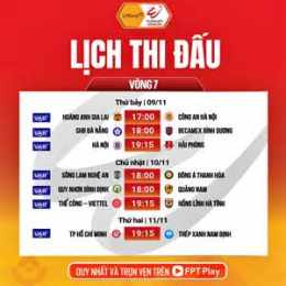 hướng dẫn sử dụng lịch thi đấu bóng đá ninh bình