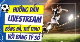 hướng dẫn sử dụng livestream bóng đá