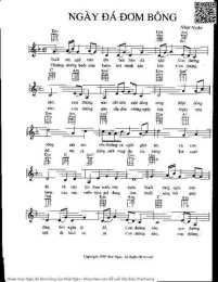 hướng dẫn sử dụng ngay da dom bong