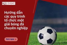 hướng dẫn sử dụng nhận định bóng đá của chuyên gia