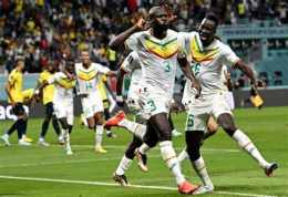 hướng dẫn sử dụng nhận định bóng đá pháp senegal