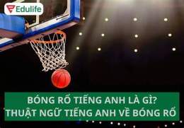 hướng dẫn sử dụng rổ bóng đá
