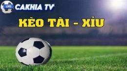 hướng dẫn sử dụng tì lê cá cuoc bong da hom nay