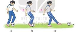hướng dẫn sử dụng tiếp bóng đá