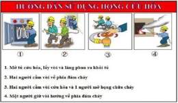 hướng dẫn sử dụng tối nay việt nam có đá bóng không