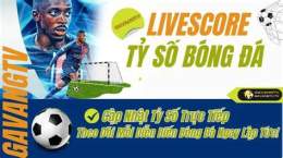 hướng dẫn sử dụng trực tiếp bóng đá livescore