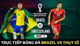 hướng dẫn sử dụng trực tiếp bóng đá world cup 2006