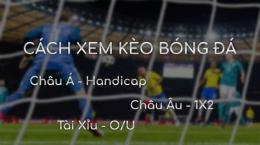 hướng dẫn sử dụng tỷ lệ bóng đá châu âu