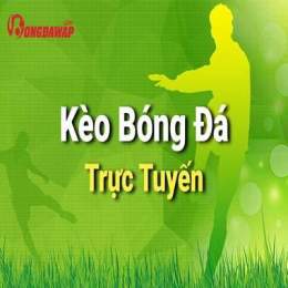 hướng dẫn sử dụng ty le bong da net