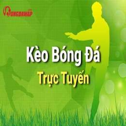hướng dẫn sử dụng ty le bong da