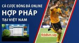 hướng dẫn sử dụng ty le ca do bong da