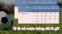 hướng dẫn sử dụng tỷ lệ kèo bóng đá la liga