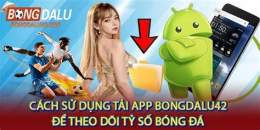 hướng dẫn sử dụng ty so bong da phap