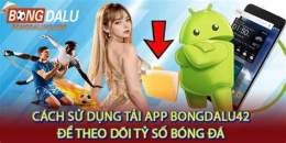 hướng dẫn sử dụng ty so bong da wap