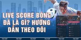 hướng dẫn sử dụng tỷ số trực tuyến bóng đá