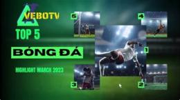 hướng dẫn sử dụng vebo bóng đá