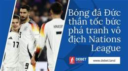 hướng dẫn sử dụng vô địch bóng đá đức