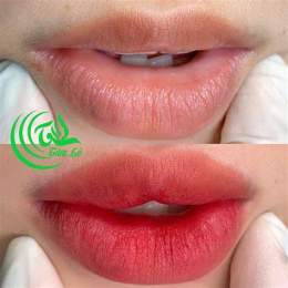 hướng dẫn sử dụng xăm môi 2 ngày đã bong