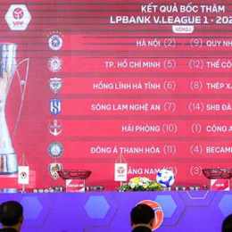 kết quả bóng đá giải vô địch quốc gia việt nam