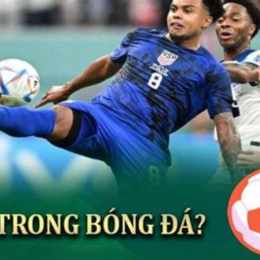 link bóng da