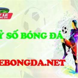 live ty so bong da