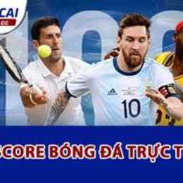 livescore bong da