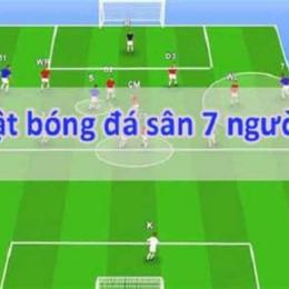 luật bóng đá 7 người mới nhất