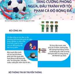 luật cá độ bóng đá ở việt nam