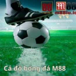 m88 bong da