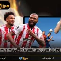 mitomtv trực tiếp bóng đá