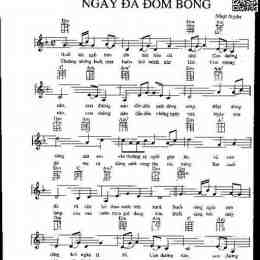 ngay da dom bong