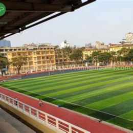 sân bóng đá tiểu ngư