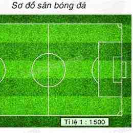 sơ đồ bóng đá sân 7