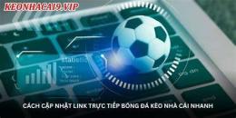 tính năng nổi bật bóng đá nhà cái 5