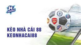 tính năng nổi bật bóng đá nhà cái 88