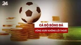 tính năng nổi bật cá độ bóng dá