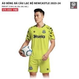 tính năng nổi bật câu lạc bộ bóng đá auckland – newcastle jets